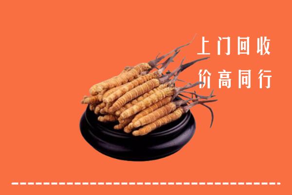 高价求购：南充市阆中回收散虫草