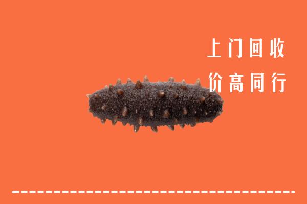 高价求购：南充市阆中回收海参