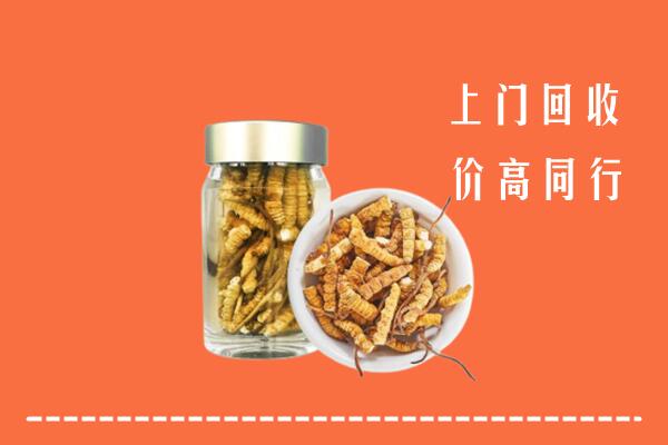 南充市阆中回收冬虫夏草