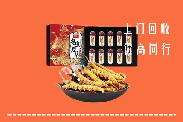 南充市阆中回收虫草